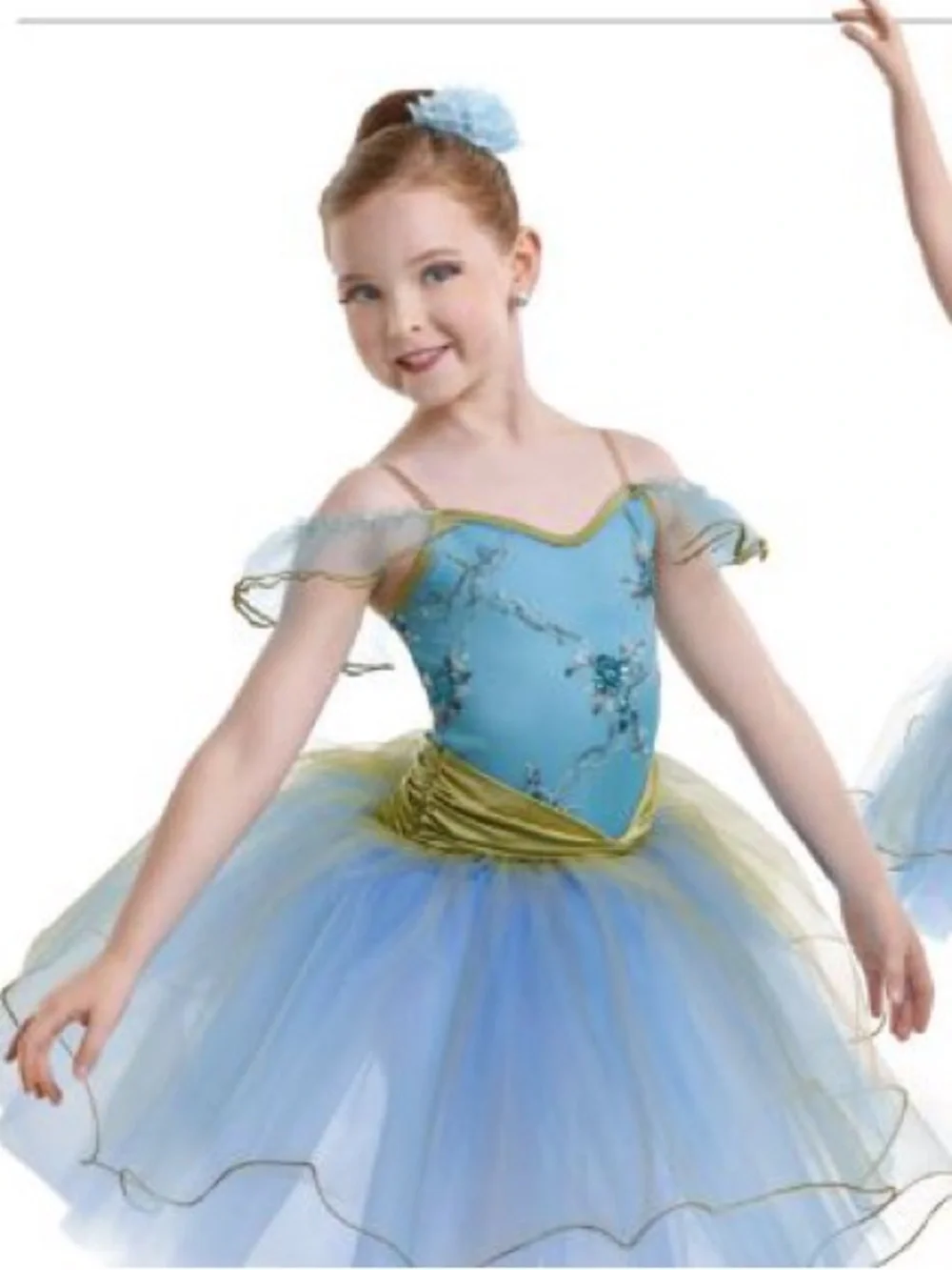 Curtain Call Blue and Olive Floral Tulle Costume Dress